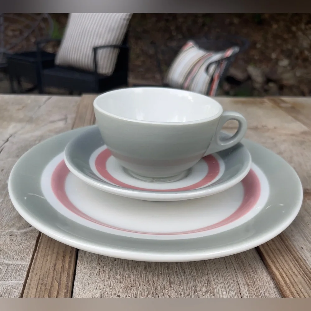 Shenango 50’s Retro MCM Gray & Pink Dinner Plate Tea Cup & Saucer Set